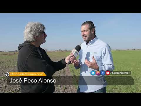 José Peco Alonso,  Agrónomo y productor mixto en Videla (Santa Fe)