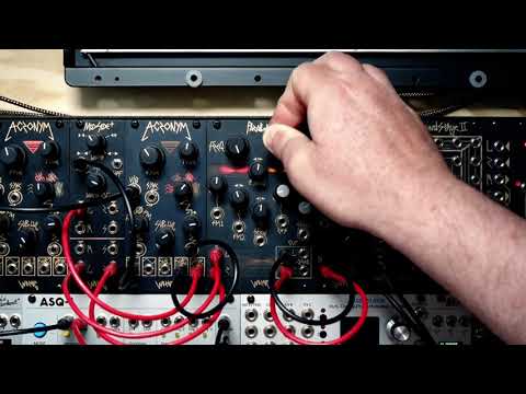 WORNG Electronics Acronym - Analog Morphing Oscillator (BPNYC) image 2