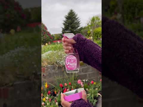 Moschino Pink Fresh Couture Eau de Toilette | it doesn’t work like what I thought | perfume