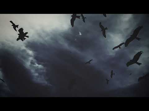 Drive By Wire - Northern Lights [Official Music Video]