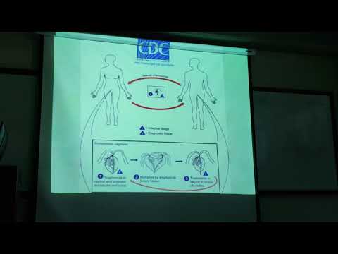 Guards cefazolin a Novocainnal. A cefazolin anyag mellékhatásai. Nikolai Valerevich urológus