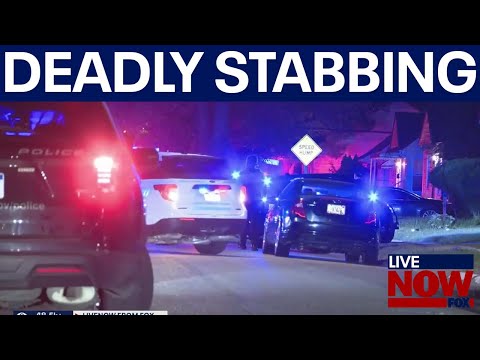 Video | Quadruple stabbing leaves 2 dead in Detroit