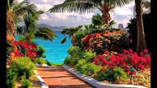 La Solitudine/Pentti Hietanen