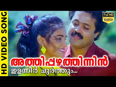 അത്തിപ്പഴത്തിന്നിളന്നീർ ചുരത്തും | Nakshathrakoodaaram | Evergreen Malayalam Film Song | Suresh Gopi
