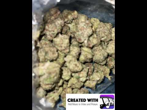 Out The Mud Freestyle