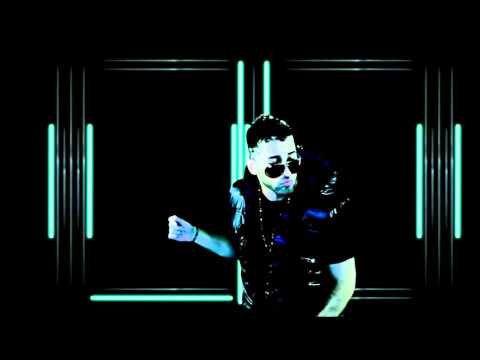 Como toda una señora-Dalmata