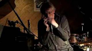 Luíza (A.C.Jobim) - Hendrik Meurkens Jazz Harmonica w/Misha Tsiganov