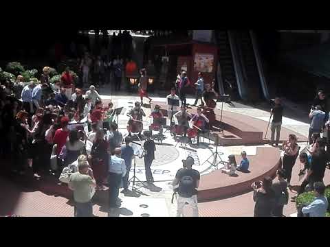 Ode to joy - flash mob