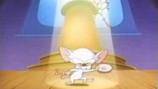 pinky and the brain-brainstem