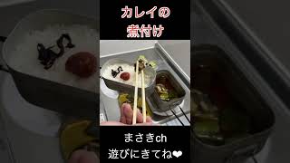 メスティンでカレイの煮付けつくってみた #shorts   #料理 #飯テロ #cooking #メスティン #food #bbq #料理動画 #キャンプ飯#煮込む #家キャン  #おうちキャンプ