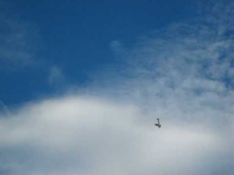 avion rc pablo sotillo de la ribera