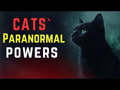 CATS' PARANORMAL POWERS: MYSTERIES of CATS IN ISLAM
