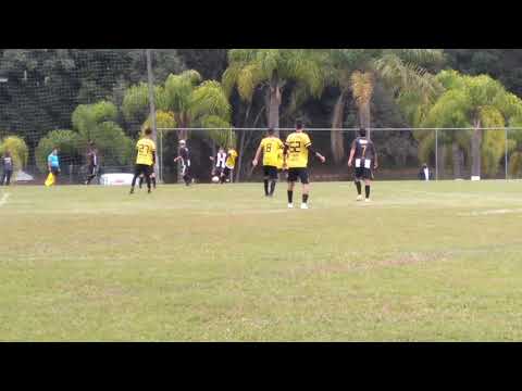 fut trainer x aka sjp con