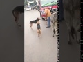 Kitni Pariksha Likh Di Mere Baba