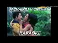 Pachaikili Muthucharam Karaoke Songs