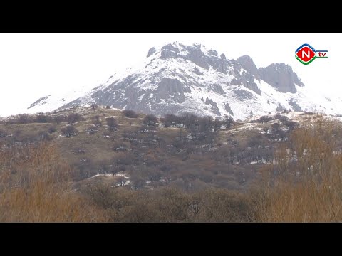 Təbiət - 03.12.2020