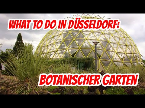 Top Sehenswürdigkeiten Düsseldorf: Botanischer Garten