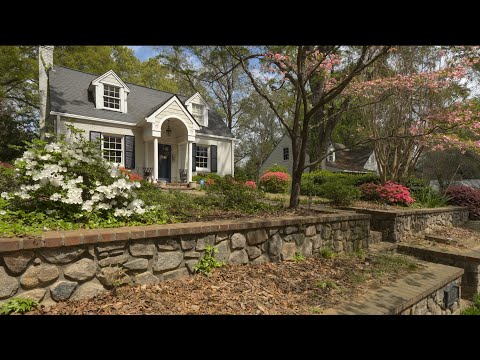 Walking an American Neighborhood in Spring | Nature Sounds for Sleep and Study