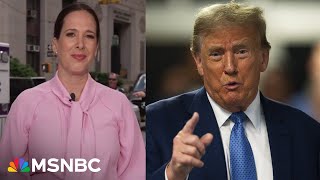 'Struck' by similarities of Pecker and Cohen's testimonies: What Lisa Rubin saw in the courthouse