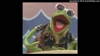 Kermit the Frog - Caribbean Amphibian