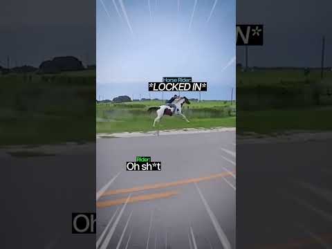 Biker Gets Humbled By Horse Rider😳