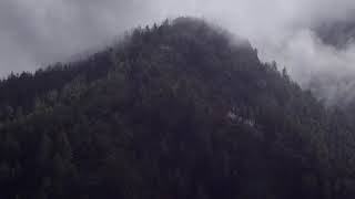 Shakyamuni Mantra by Karma Phuentsho