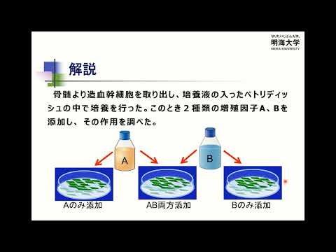明海大学坂戸キャンパス（歯学部）2023年度総合型選抜（AO）対策講座（2022年9月実施）