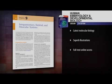 download lagu mp3 mp4 Larsens Human Embryology 4th Edition Pdf, download lagu Larsens Human Embryology 4th Edition Pdf gratis, unduh video klip Larsens Human Embryology 4th Edition Pdf