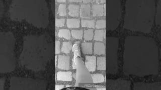 Videoschnipsel eines Tages #1 | Goody Goody