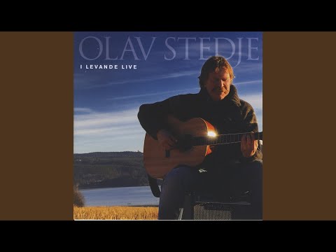 Lykkesmed (Live)