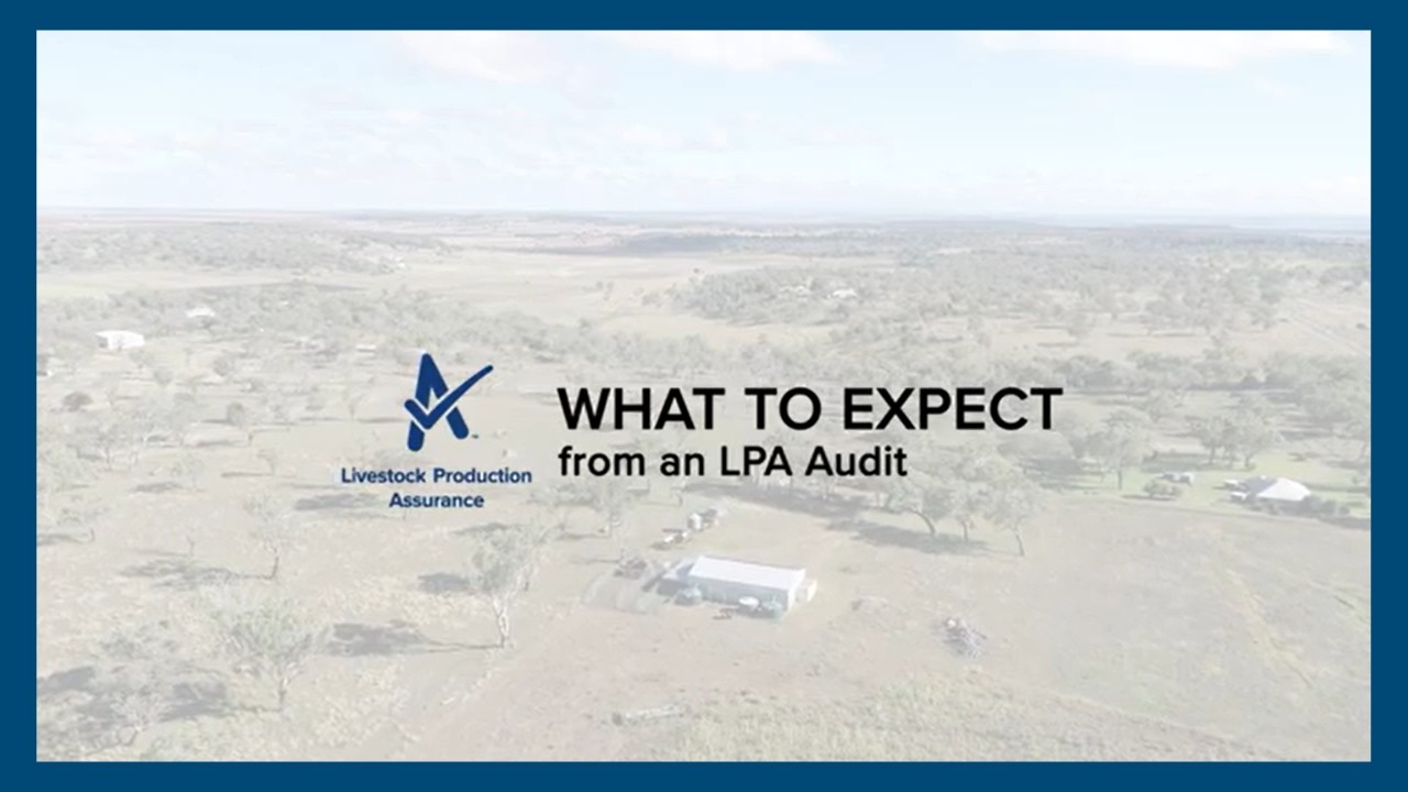 What to Expect from an LPA Audit