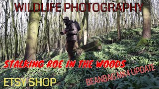 Stalking Roe Deer in woodland and a bit of a mooch. Beanbag Mk 4 Update.