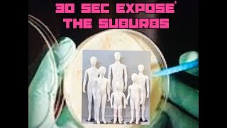 30 Second Expose' Seasons 2 - Suburbs