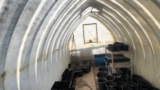 The fiberglass greenhouse worked!!