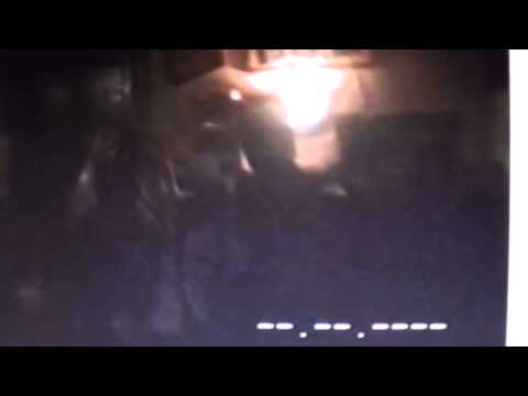 pelikaan 3  2002 2003 3 x goud