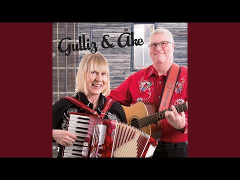 En natt i Köpenhamn