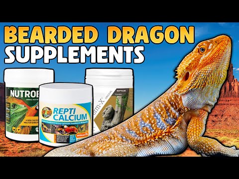 Bearded Dragon Calcium Guide - Supplement Schedule