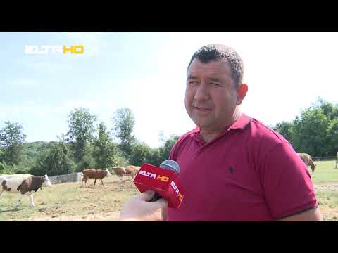 BL HRONIKA 21 07 20 - PORODICA LUZIJA IZ KMECANA