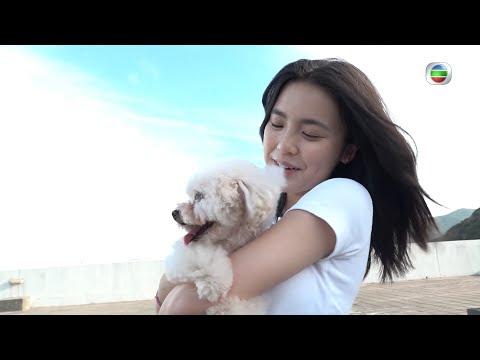 東張西望｜Chantel｜姚焯菲｜唱戀愛預告爆紅｜原唱林珊珊及網民齊力讚