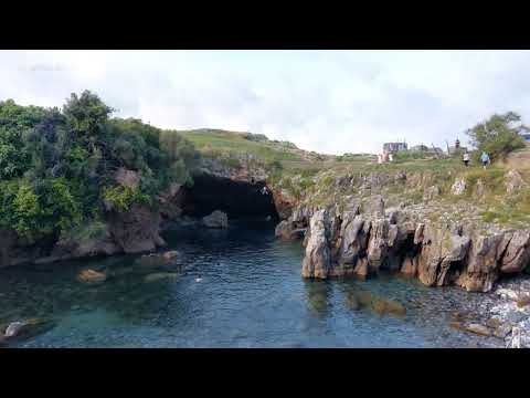 Big Boy jumps into the Ocean.