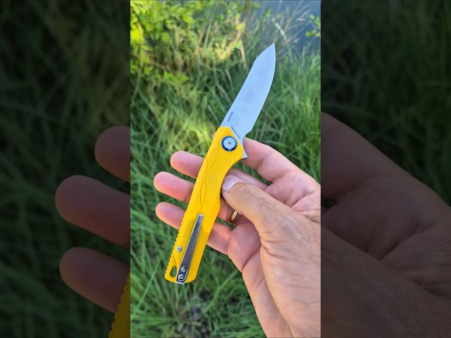 Vídeo relacionado con YiMai Cuchillo Plegable, Navaja de Bolsillo con Mango de patrón tallado en 3D, Cuchillo Plegable para Acampar Pesca Caza Picnic (Color degradad)
