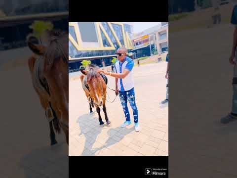 under Gee ft Y Coast =pepa wahao mwana