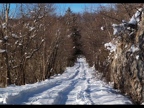 BIJELA CESTA ZA LANIŠĆE - NEUSPJELI POKUŠAJ