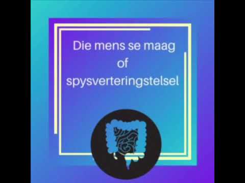 Vrydag 12 Junie: Spysverteringstelsel