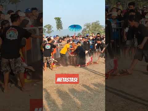 MENJENG KIMHOA NGAMUK, SOLAH PENAK DI GANGGU... #jaranan #shorts #shortviral