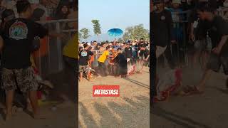 Download lagu MENJENG KIMHOA NGAMUK, SOLAH PENAK DI GANGGU... #jaranan #shorts #shortviral mp3