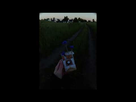 dzakob,wake - marlboro