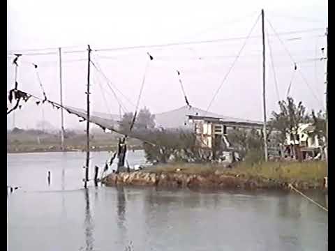Valle Baiona (Ravenna) Fine anni '80 - Oriano Golnelli.