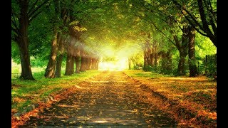 Never-ending Road - Loreena McKennitt (letra español)