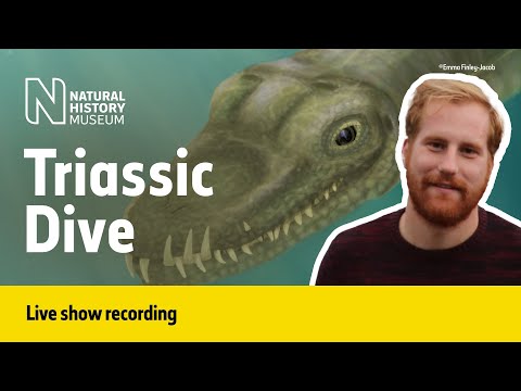 The fossil marine reptiles of the Triassic | Live Talk with NHM Scientist